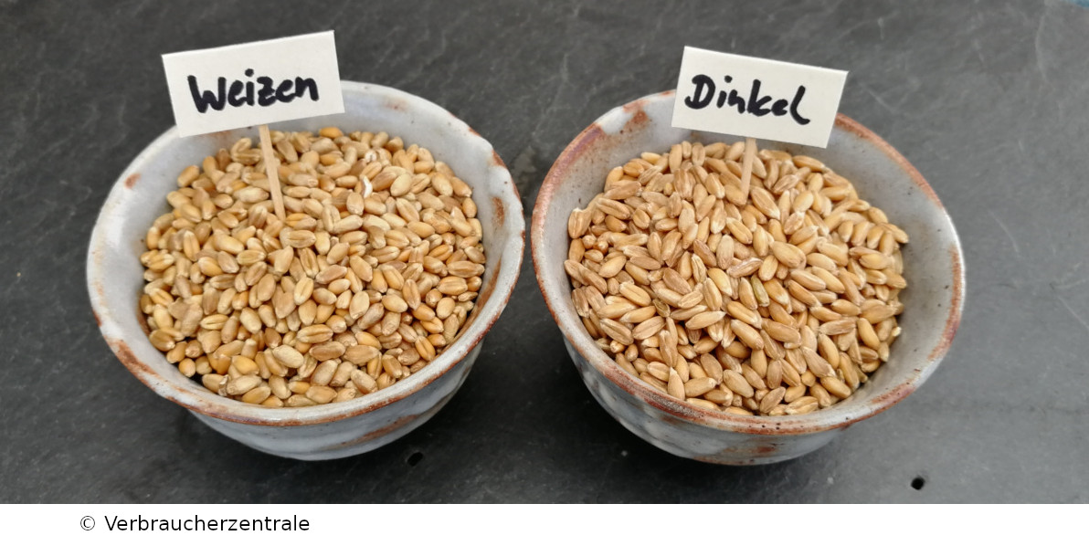 Dinkel vs. Weizen – was ist gesünder?